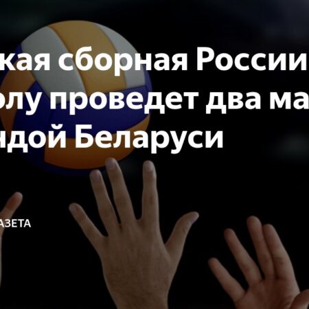 Сборная России по волейболу проведет товарищеские матчи с Беларусью: чего ждать от обновленного состава?