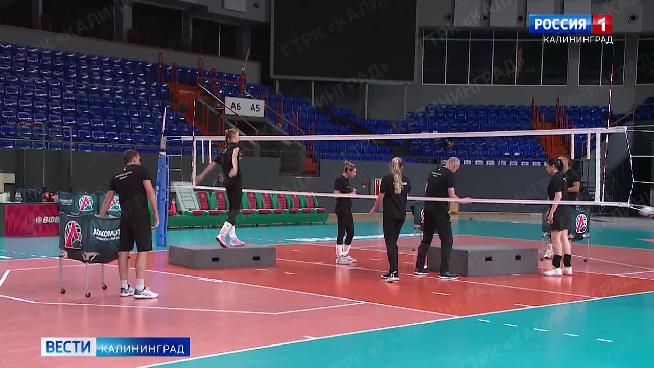 Preview Волейбольный сезон в Калининграде: ожидание большого старта
