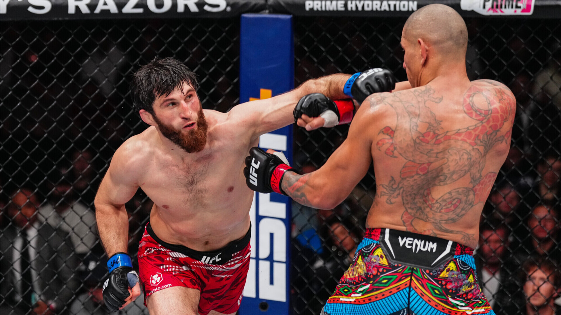 Preview Тяжелейшие травмы единственного победителя Магомеда Анкалаева